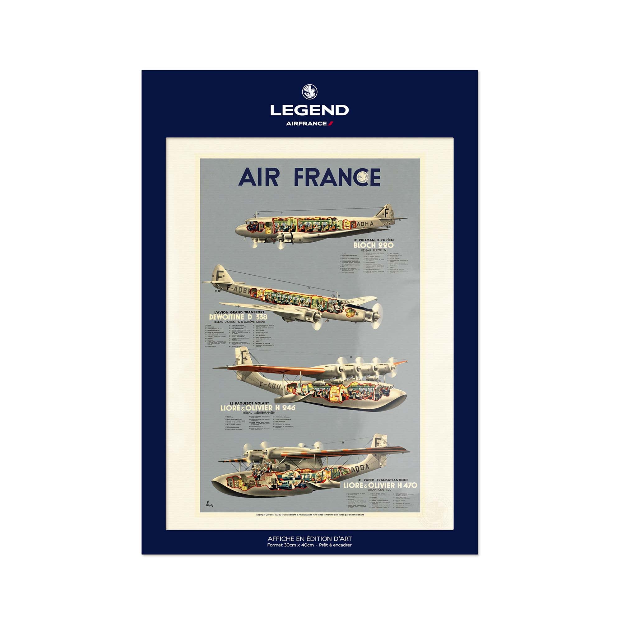 Air France poster - Vintage fleet